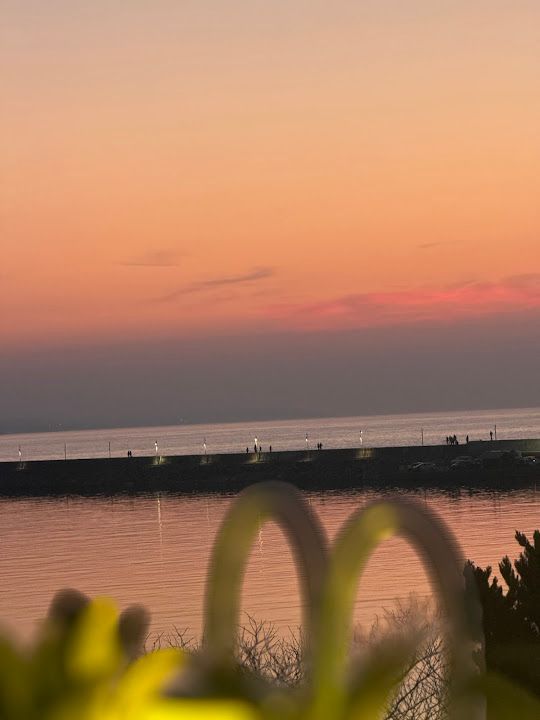 Fotoğraf 43