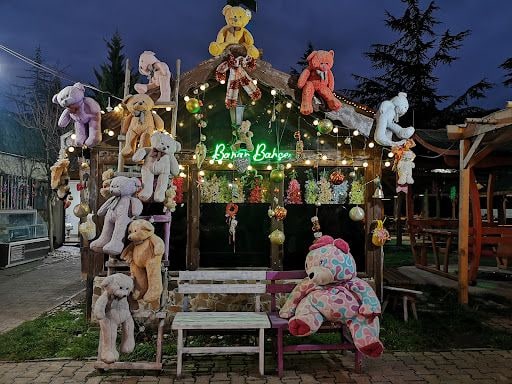 Yorum fotoğrafı 8