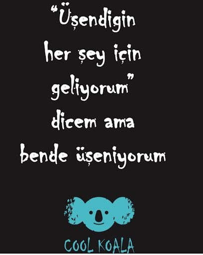 Yorum fotoğrafı 9