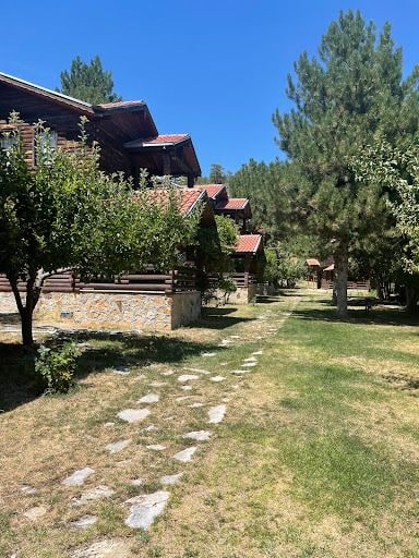 Fotoğraf 16