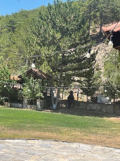 Fotoğraf 17