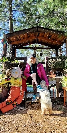 Yorum fotoğrafı 5