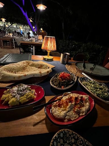 Yorum fotoğrafı 8