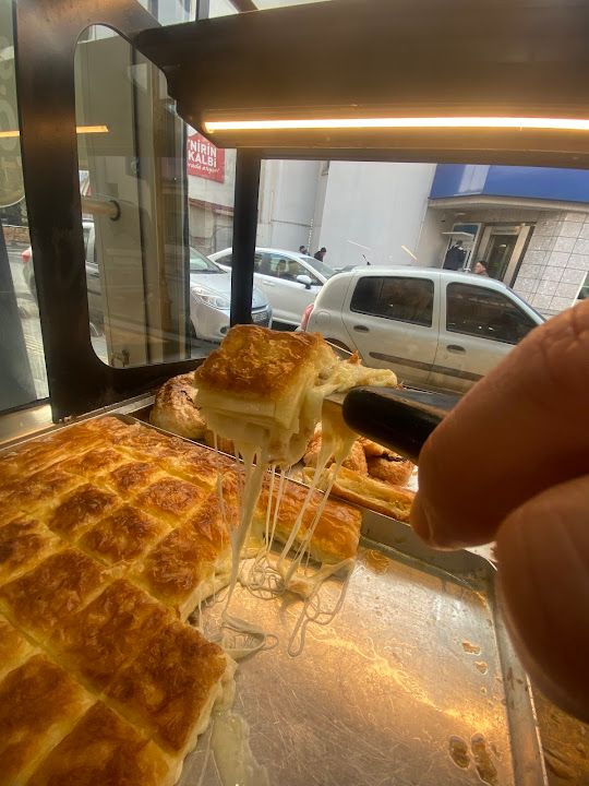 Fotoğraf 14