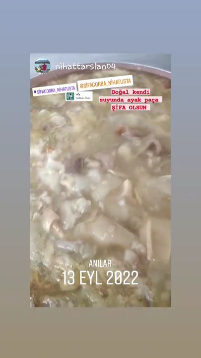 Fotoğraf 26