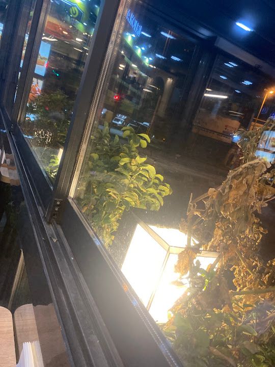 Yorum fotoğrafı 4