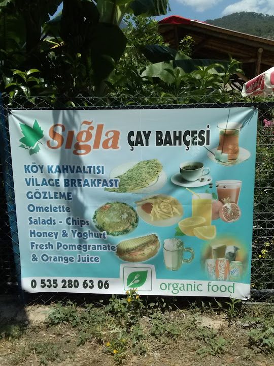 Fotoğraf 31