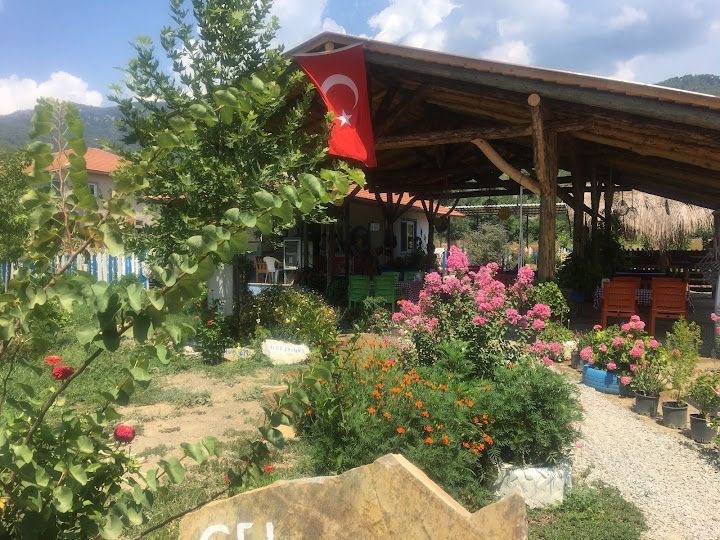 Yorum fotoğrafı 2