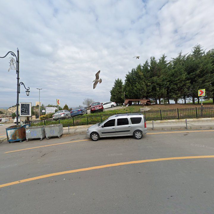 Fotoğraf 8
