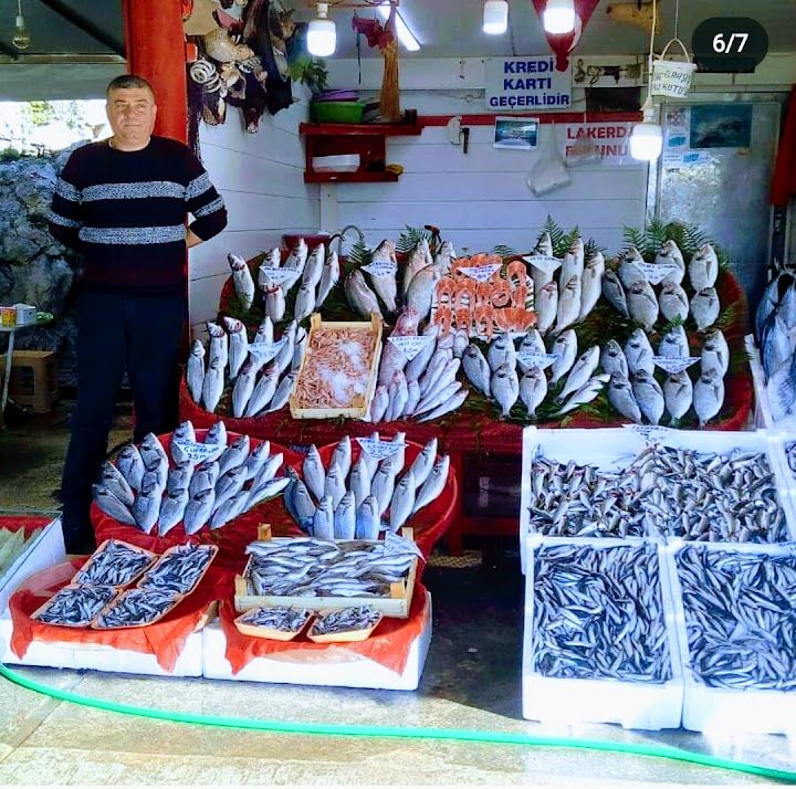 Fotoğraf 4