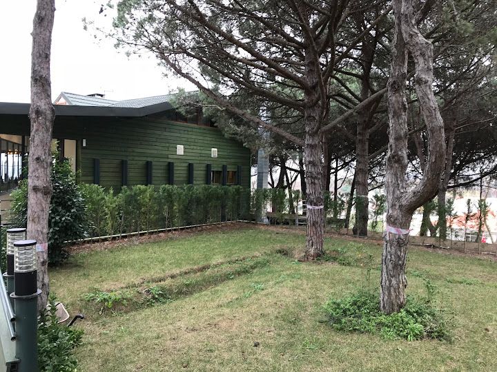 Fotoğraf 29