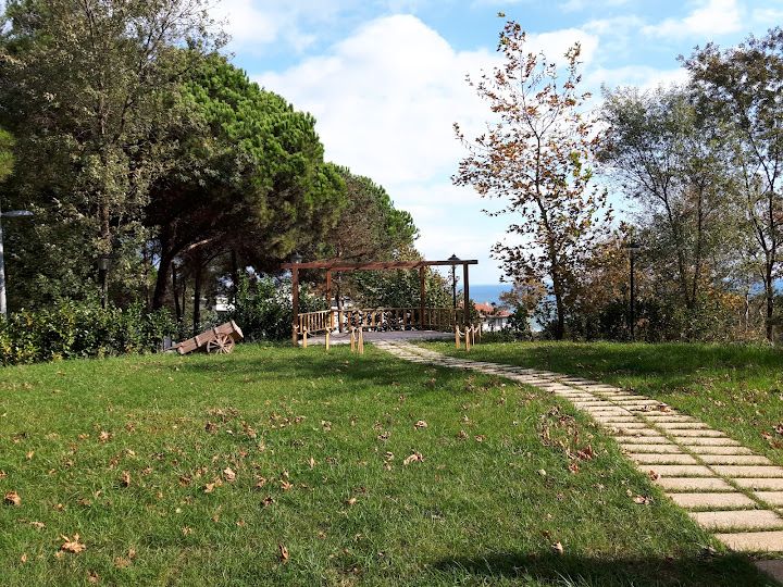 Fotoğraf 74