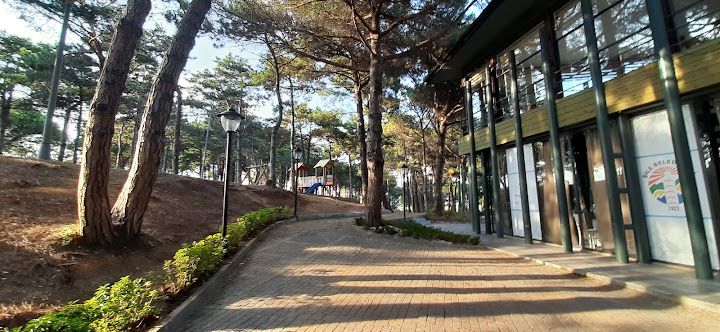 Fotoğraf 18