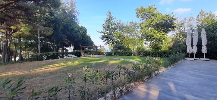 Fotoğraf 16