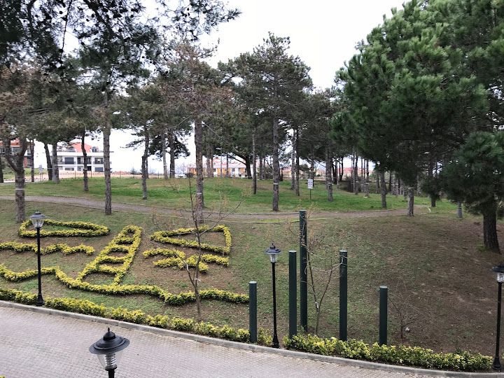 Fotoğraf 28
