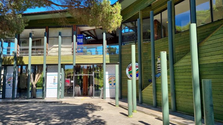 Çamlık Piknik Alanı Kozalak Restaurant