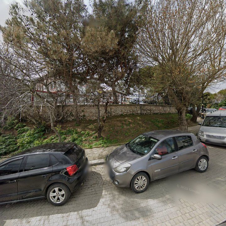 Fotoğraf 11