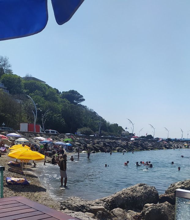 Fotoğraf 66