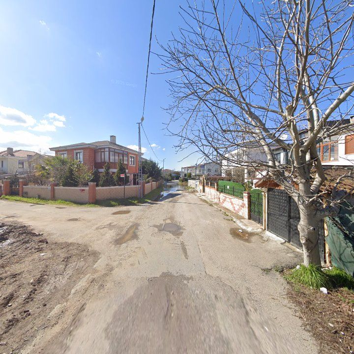 Fotoğraf 11