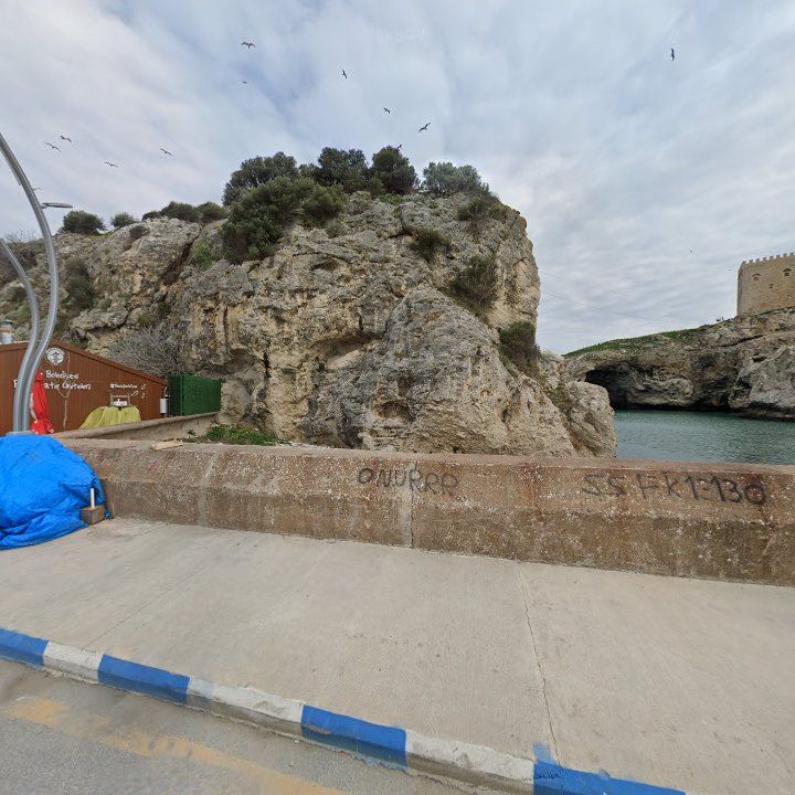 Fotoğraf 7