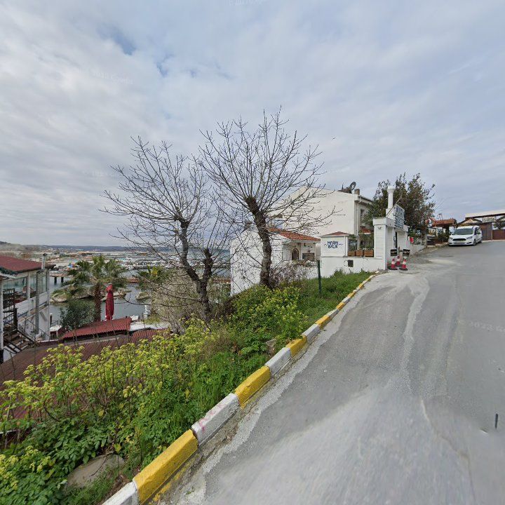 Fotoğraf 11