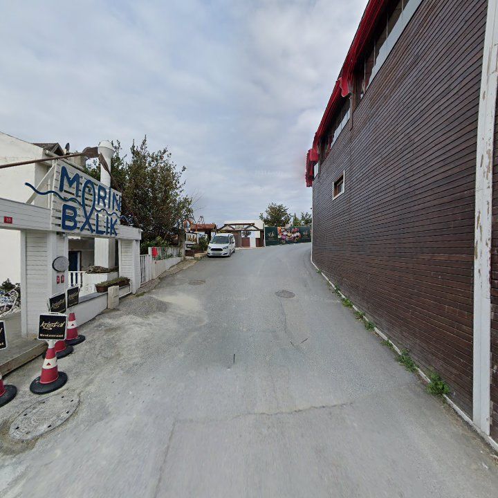 Fotoğraf 11