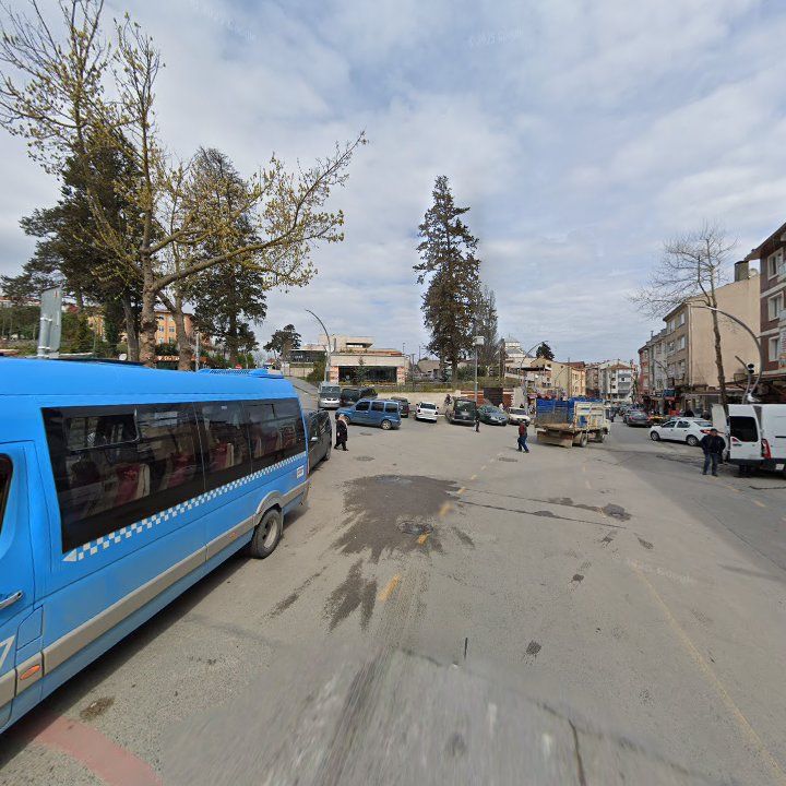Fotoğraf 10