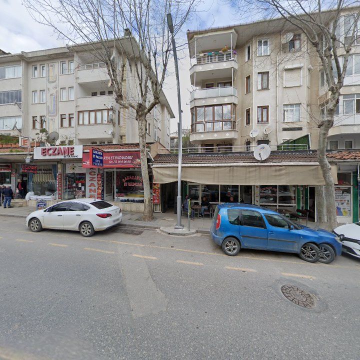 Fotoğraf 7
