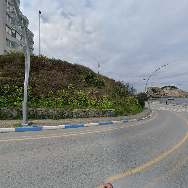 Fotoğraf 11