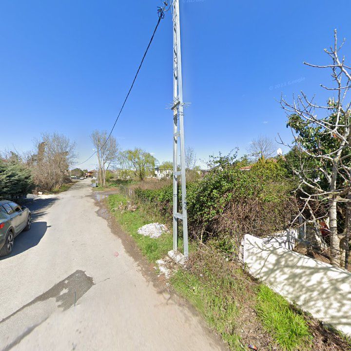 Fotoğraf 10