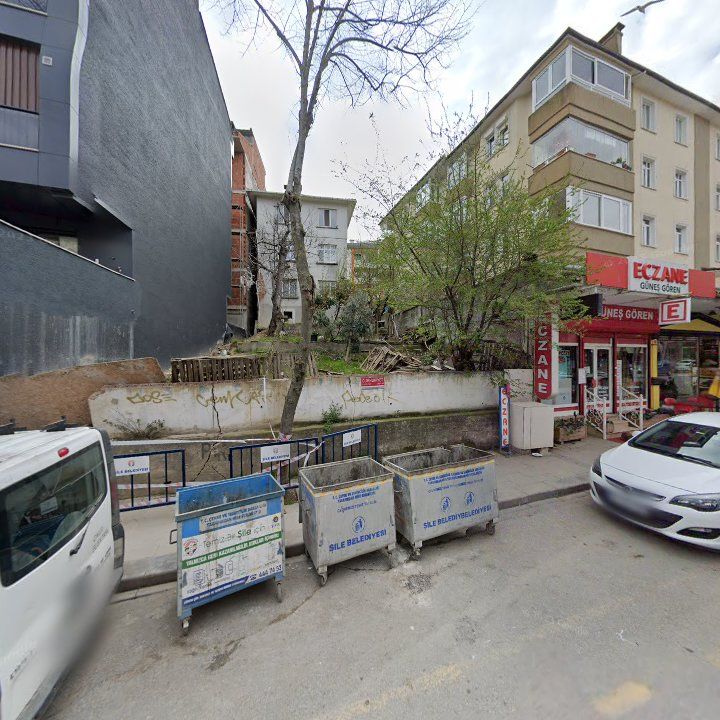 Fotoğraf 12