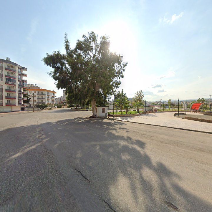 Fotoğraf 5