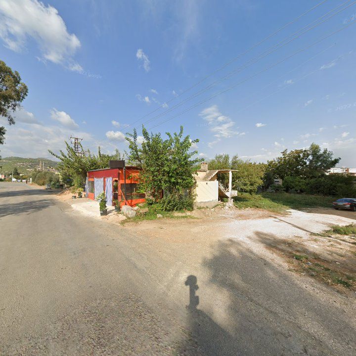 Fotoğraf 4