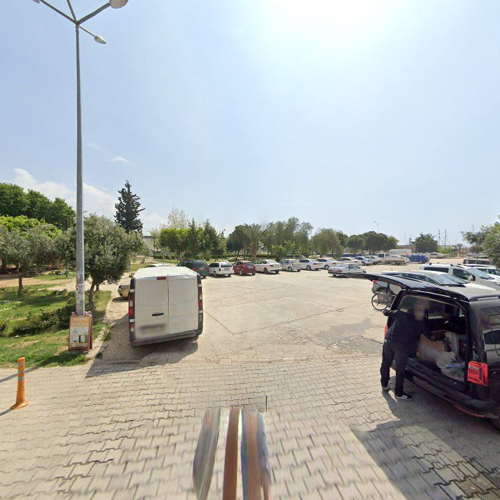 Fotoğraf 5