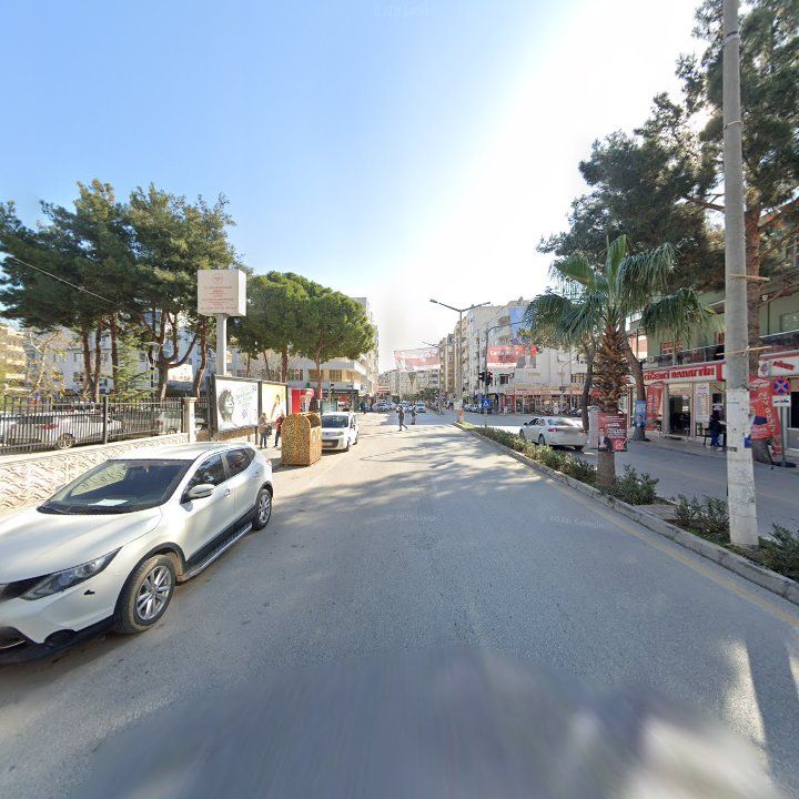 Fotoğraf 5