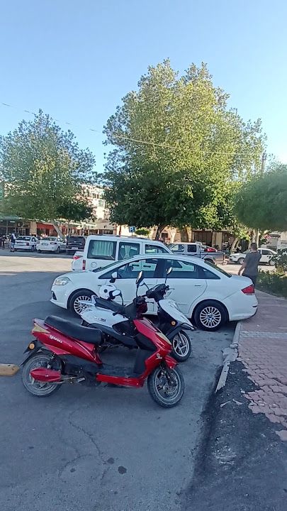 Fotoğraf 3