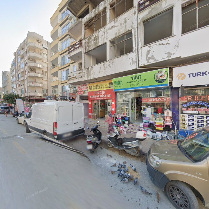 Fotoğraf 3
