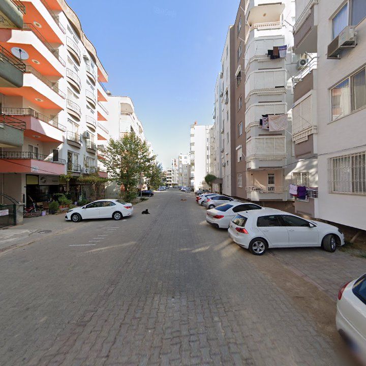Fotoğraf 4