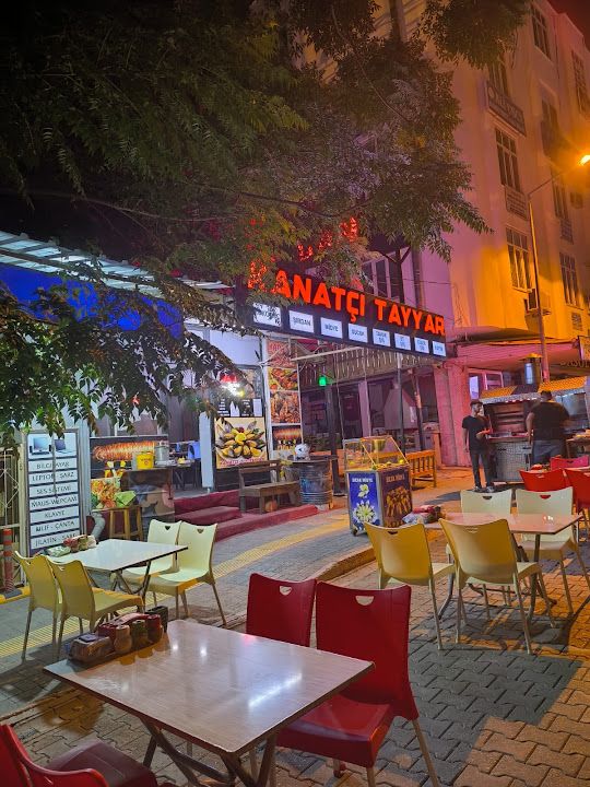 Kanatci Tayyar