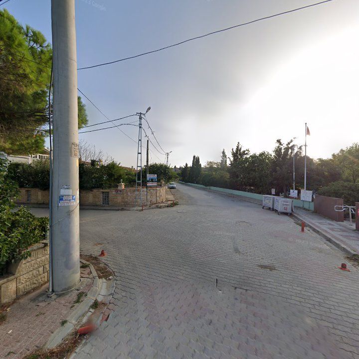 Fotoğraf 8