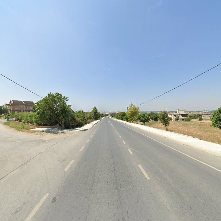 Fotoğraf 9