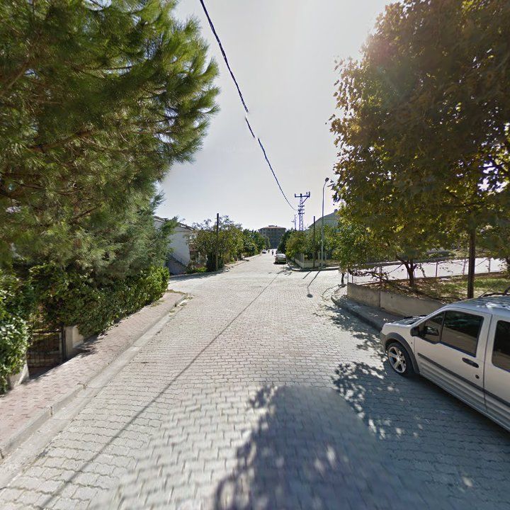 Fotoğraf 7