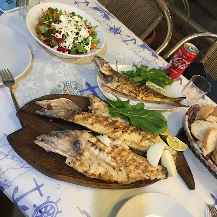 Fotoğraf 7