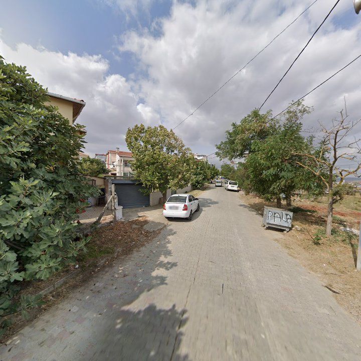 Fotoğraf 6