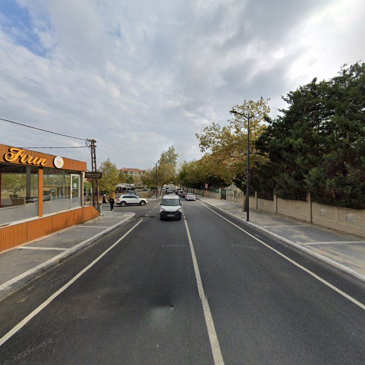 Fotoğraf 8