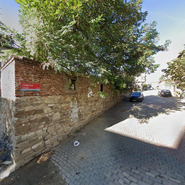 Fotoğraf 8