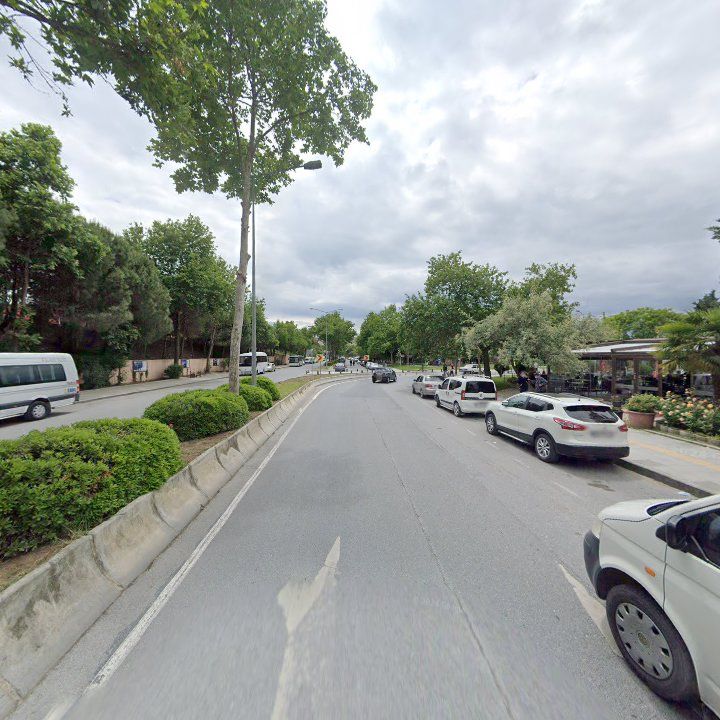 Fotoğraf 10