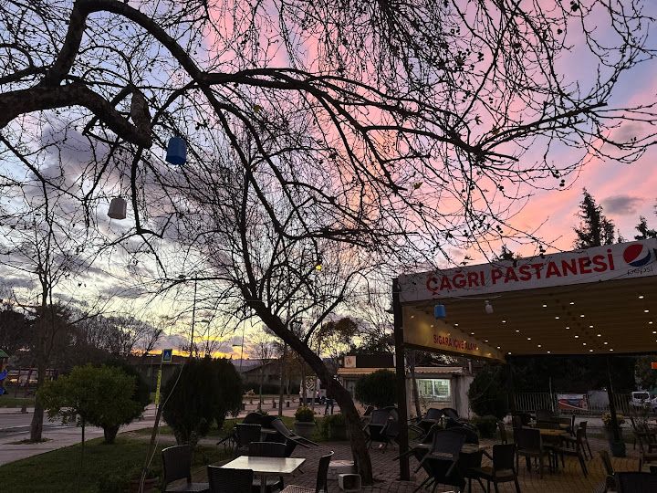 Fotoğraf 6