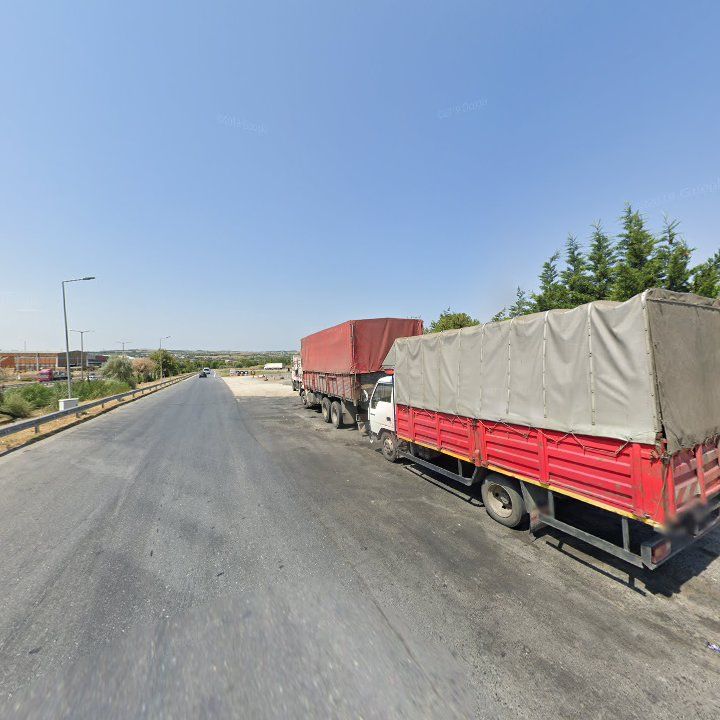 Fotoğraf 12