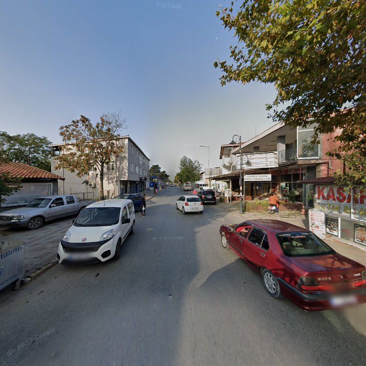 Fotoğraf 10